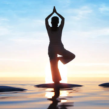 WELLNESS